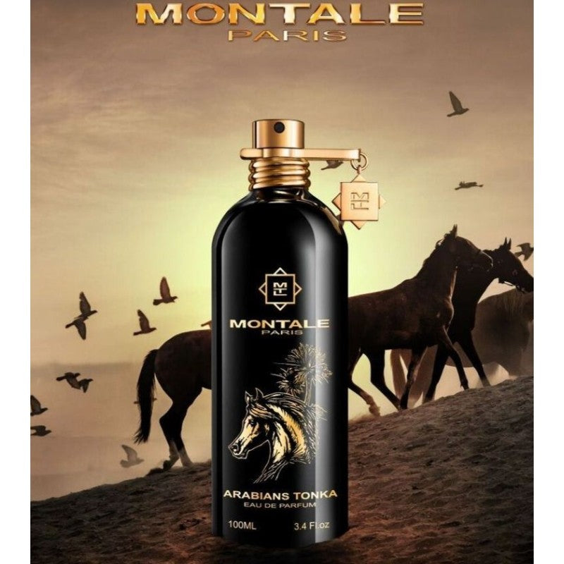 MONTALE ARABIANS TONKA